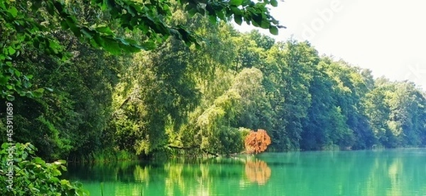 Obraz person in the forest