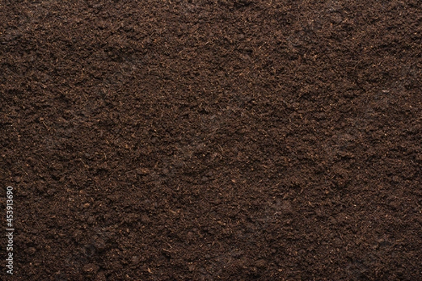 Obraz Peat moss soil background texture