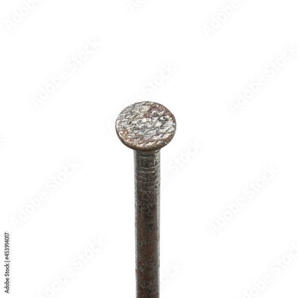 Obraz Rusty nail isolated on white background