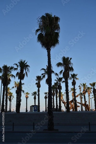 Obraz Palmeras al atardecer