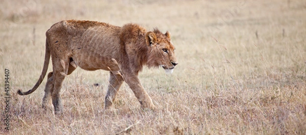 Obraz Extreme Hunger