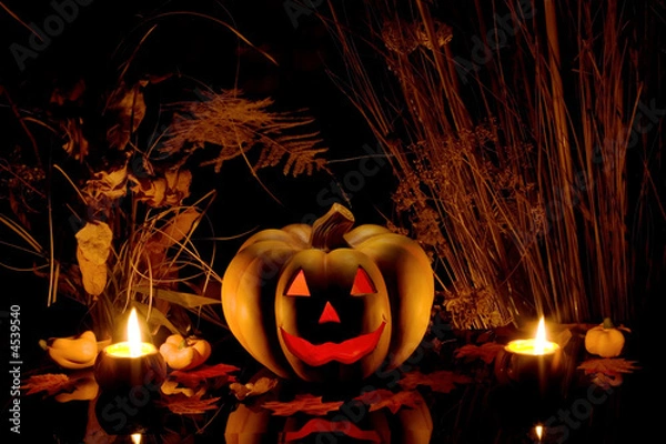 Obraz Halloween pumpkin and dry plants.