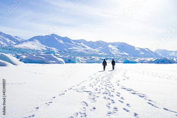 Obraz Glacier landing view