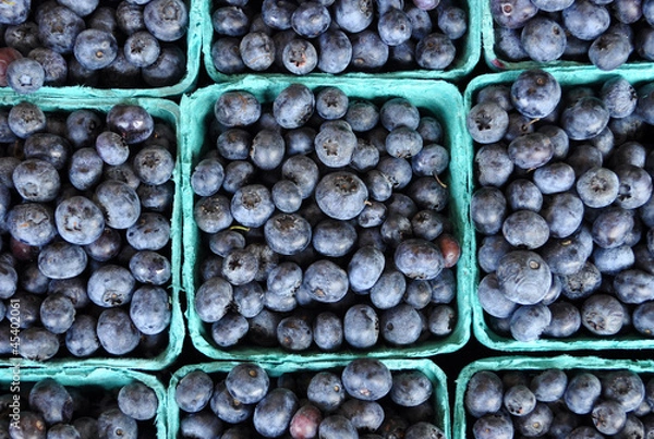 Obraz fresh blueberries in pint containers