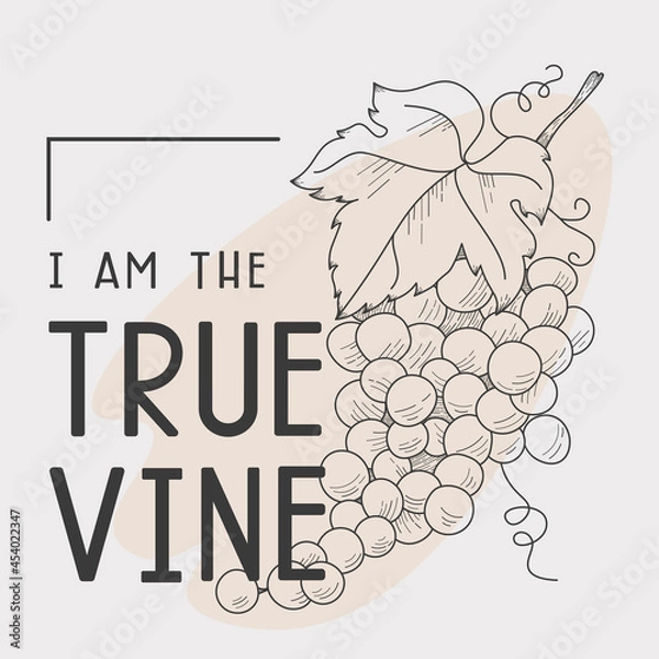 Obraz WebGrapes line art illustration with John 15:1 bible verse. Inspiring christian interior print or social media template.