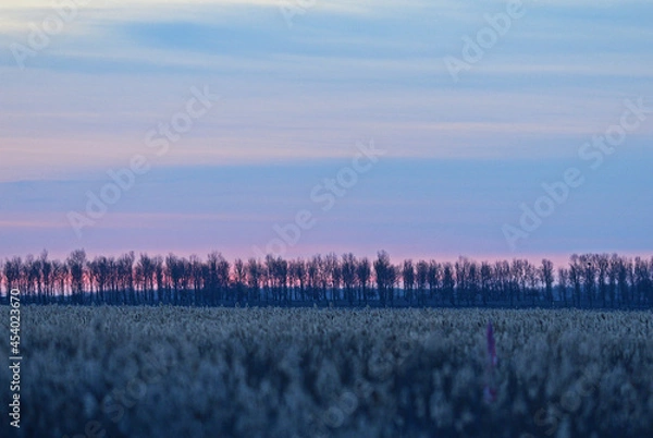 Obraz sunrise over the field