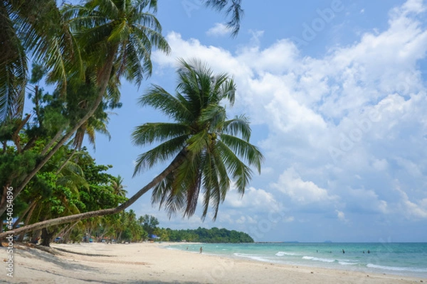 Obraz Coconut tree or palm tree at Thung Wua Laen Beach in Chomphon province Thailand, viewpoint of tropical beach seaside and blue sky