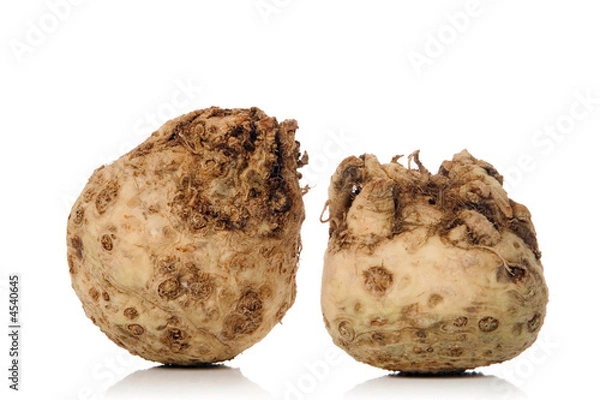 Obraz celeriac