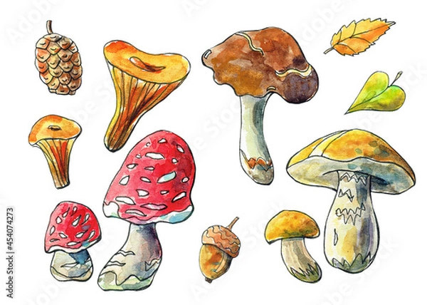 Obraz Watercolor illustration with mushrooms, leaves, walnut and acorn. Autumn set for design.