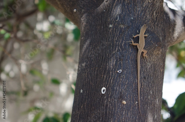 Obraz old wooden cross