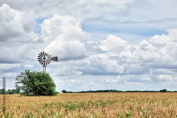 Obraz Kyle Corn Field