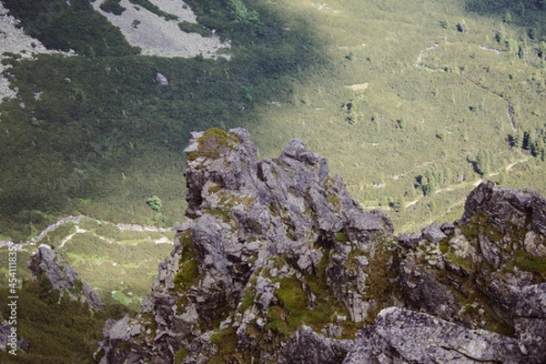 Fototapeta moss covered rocks