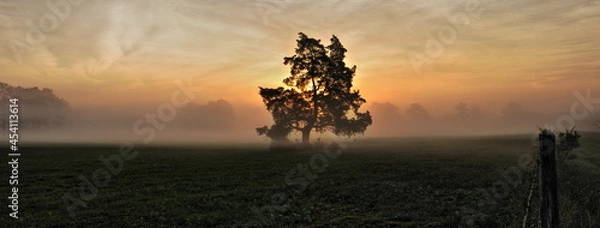 Obraz Tomball Sunris