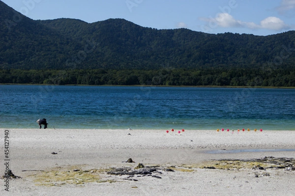 Obraz 砂浜と湖と山