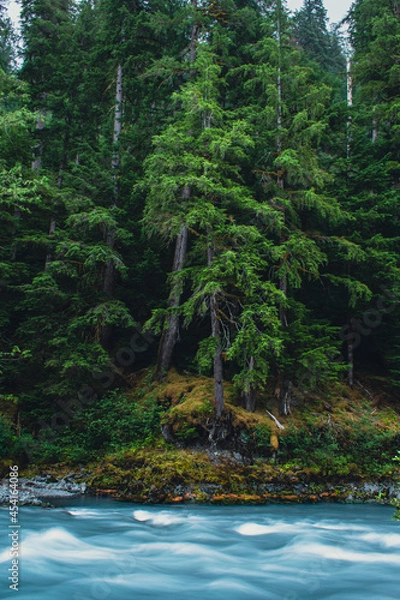 Fototapeta Hoh River 