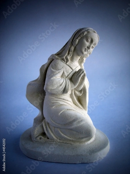Obraz Virgin Mary Statue