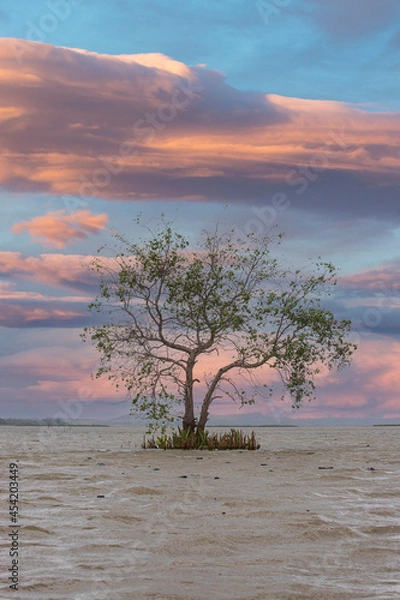 Obraz thale noi bird watching park