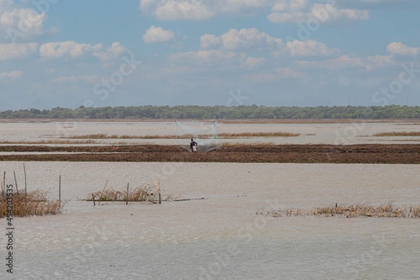 Obraz thale noi bird watching park