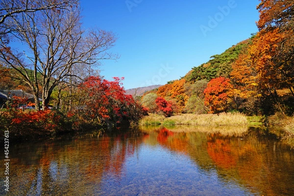 Fototapeta 단풍으로 물든 산