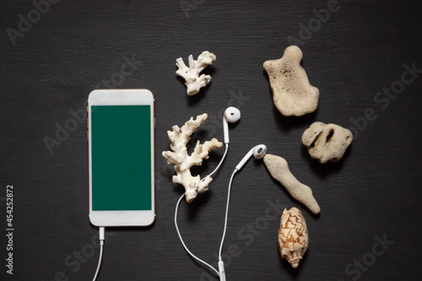 Obraz Smartphone with a blank screen