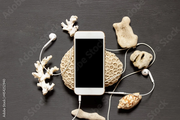 Obraz Smartphone with a blank screen