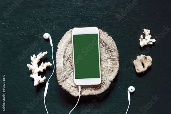 Obraz Smartphone with a blank screen