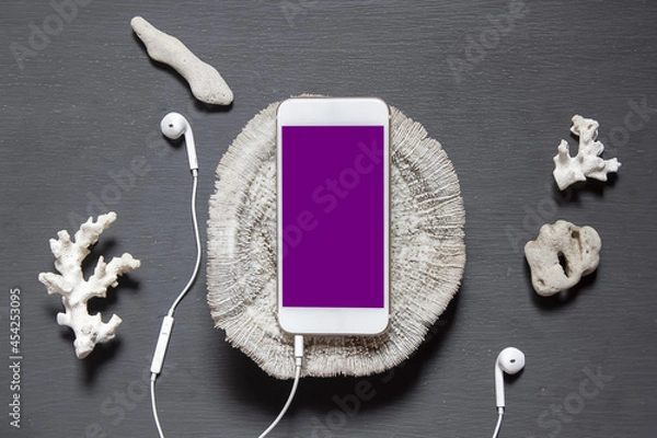 Obraz Smartphone with a blank screen