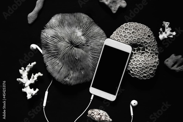 Obraz Smartphone with a blank screen