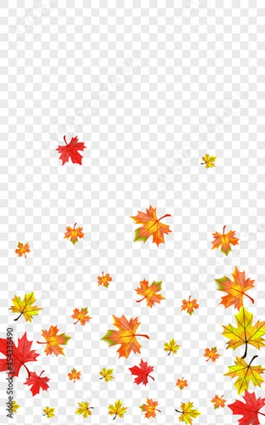 Fototapeta Red Plant Background Transparent Vector. Foliage Abstract Texture. Brown Nature Leaf. Tree Floral Card.