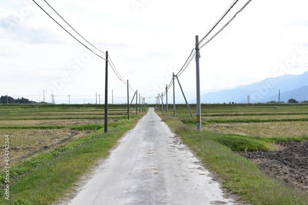 Obraz 田舎の一本道