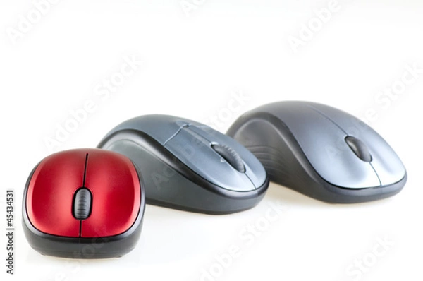 Fototapeta computer mouse devices isolated on white horizontal