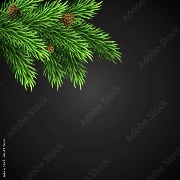 Obraz Christmas design, new year fir branches decoration black 
 background. vector illustration