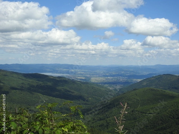 Fototapeta Summer in mountains