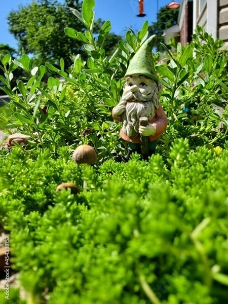 Fototapeta snail on a leaf