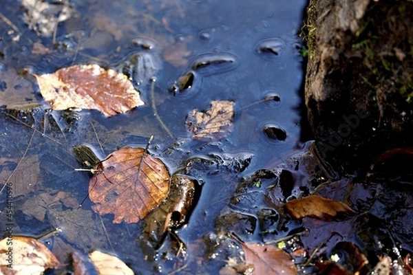 Fototapeta muddy waters