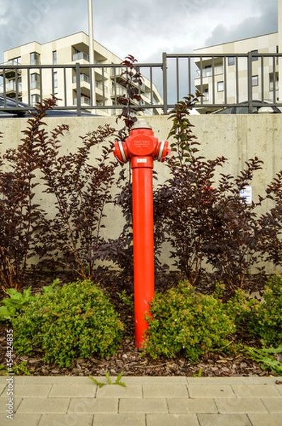Obraz Beautiful Red Hydrant