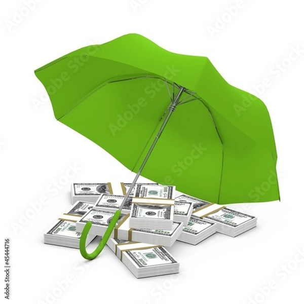 Obraz Protected money concept
