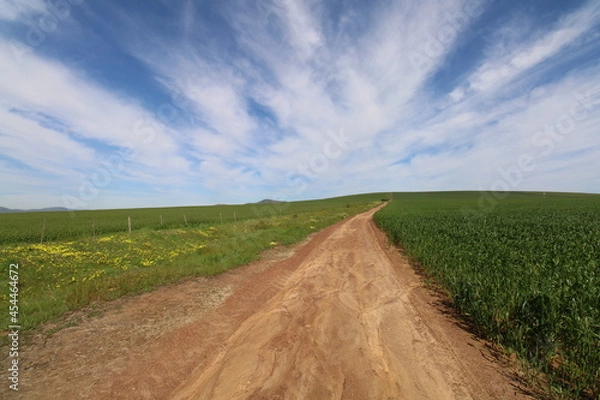 Obraz road in the field