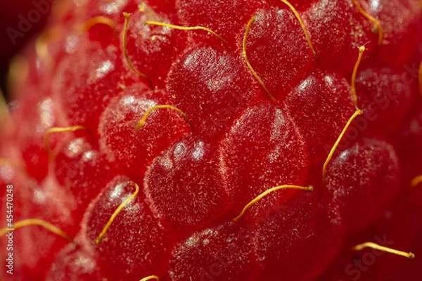 Fototapeta Close up shot of raspberry