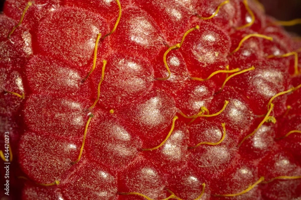 Fototapeta Close up shot of raspberry