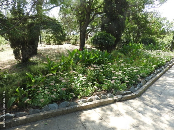 Obraz garden in the garden