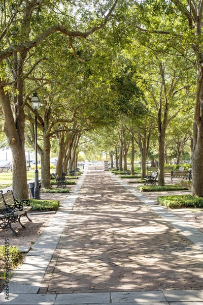 Fototapeta Sun Dappled Brick walkway