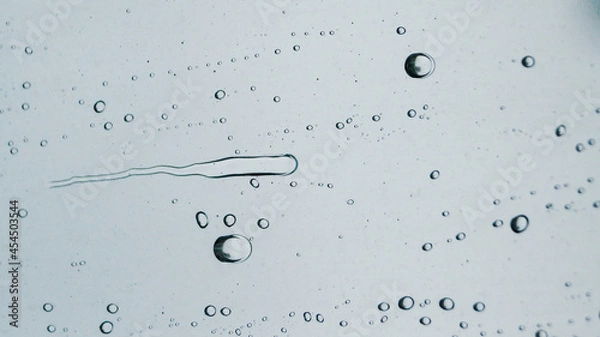 Fototapeta raindrops on the window in foggy day