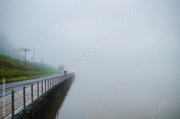 Fototapeta fog mist riverside in summer 