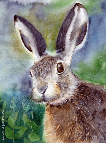 Fototapeta Watercolor illustration of a fluffy gray rabbit or hare with long ears on a gray-green background with green leaves 