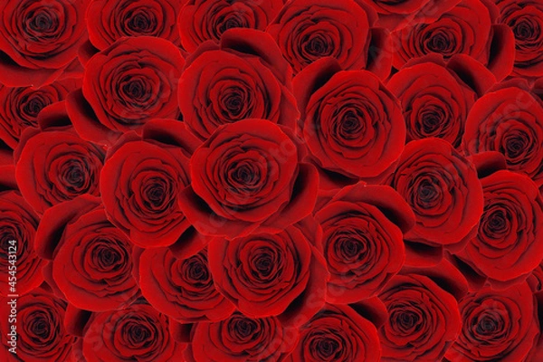 Obraz Bukiet róż. Tapeta