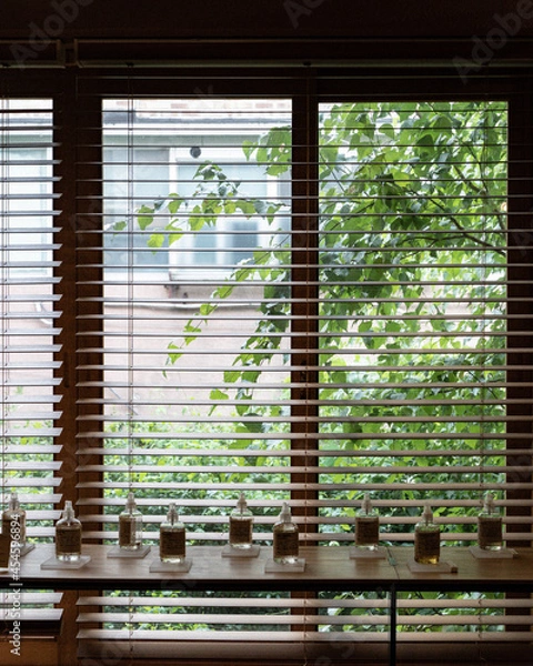 Fototapeta window in the window