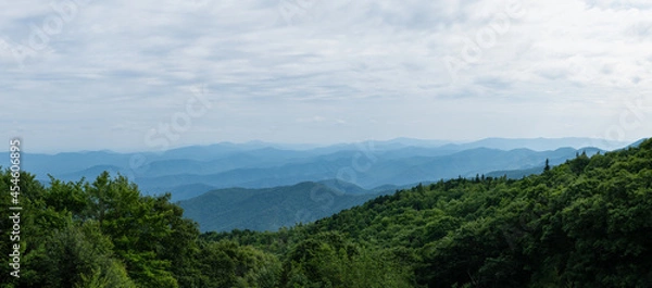 Fototapeta Color Panorama of Appalachian Mountains from a High Vista with Pine Trees and Views from Mount Mitchell
