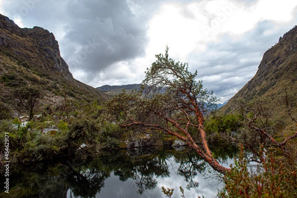 Fototapeta mountain river in the mountains