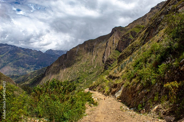 Obraz trail in the mountains